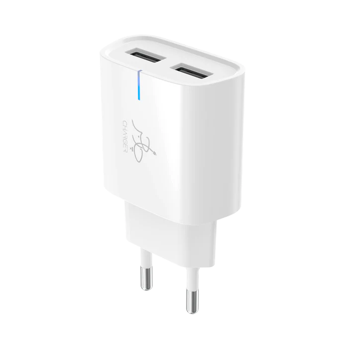Taar Rapid Duo 12 W Charger