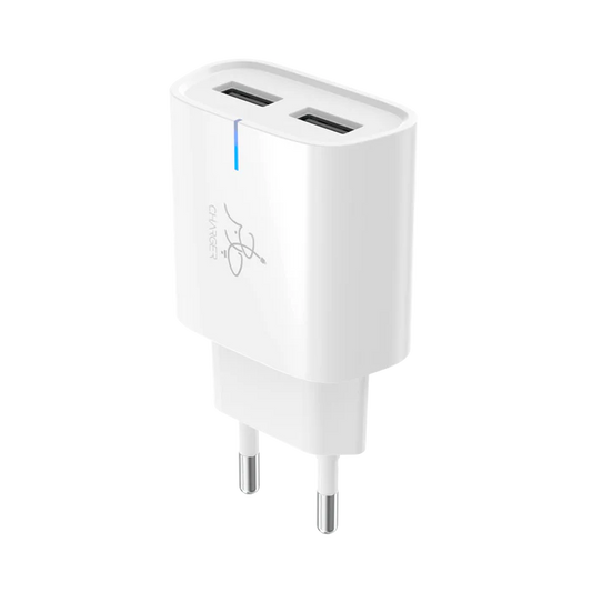 Taar Rapid Duo 12 W Charger